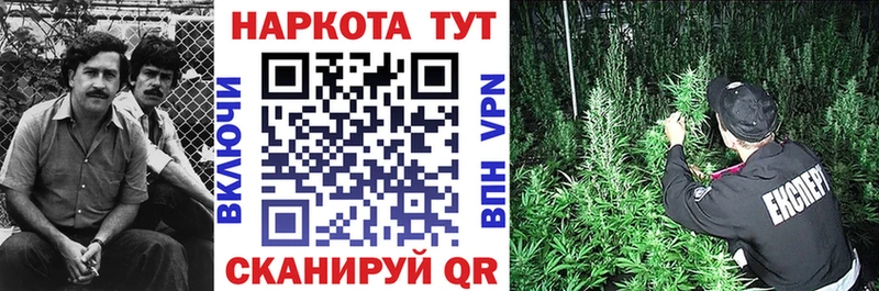 Все наркотики Сосновый Бор ГАШ  Галлюциногенные грибы  Alpha-PVP  Меф  Каннабис 