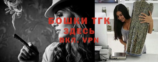 прущий лед Арсеньев