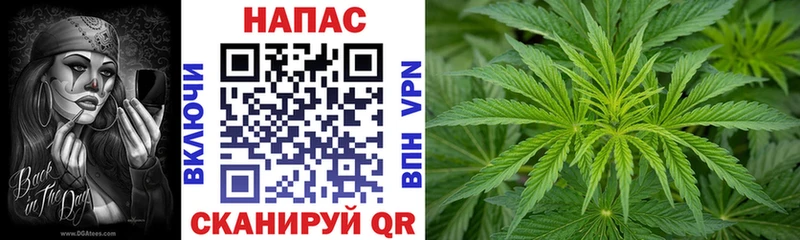 что такое Сосновый Бор Канабис Ganja